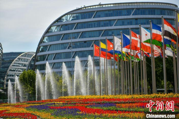 第五屆進博會場館景觀裝飾全面定妝?！￡悏魸?攝